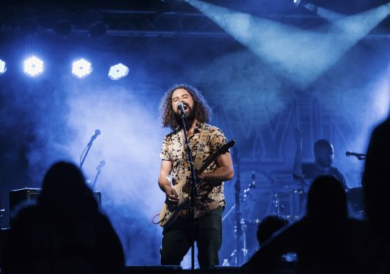 Rewind the Vines - Griffith