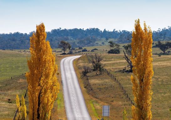 Car travelling in a country road between Berridale and Adaminaby in the Snowy Mountains region of NSW