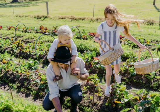 Collect your own Produce at Jamberoo Valley Farm Stay and Cottages in Jamberoo, Kiama Area on the South Coast