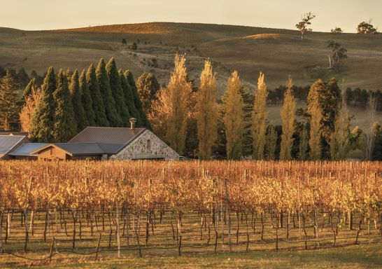 Autumn at Bendooley Estate in Berrima, Southern Highlands 