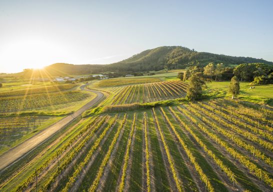 Sun setting over the scenic grounds of Coolangatta Estate, Shoalhaven Heads
