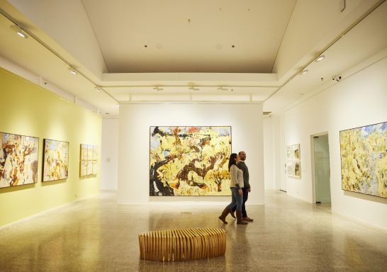 Bathurst Regional Art Gallery (BRAG)