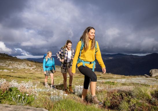 Mount Kosciuszko Summit Walk, Kosciuszko National Park