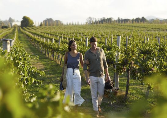 Couple enjoying a scenic walk through the vineyards at Rowlee Wines, Nashdale
