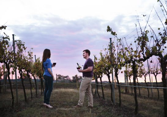 Couple drinking wine in vineyard, Petersons Armidale Guesthouse and Winery, Armidale