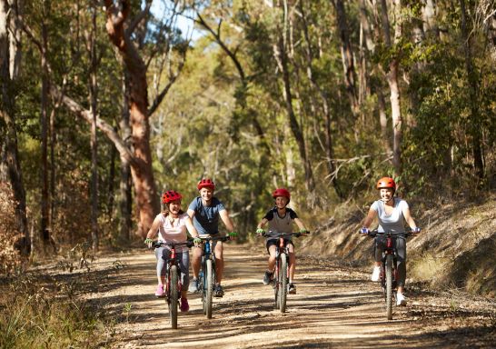 Family enjoying a day of mountain biking, Mountain Biking, Blue Mountains National Park