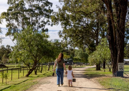 Starline Alpaca Farmstay, Hunter Valley