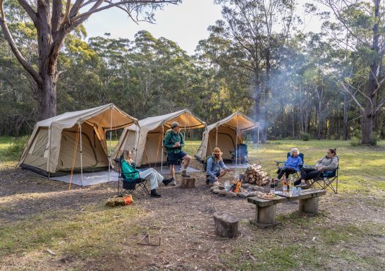 Sapphire Coast Guiding Co., Merimbula