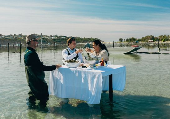 Merimbula Oyster Tours, Merimbula