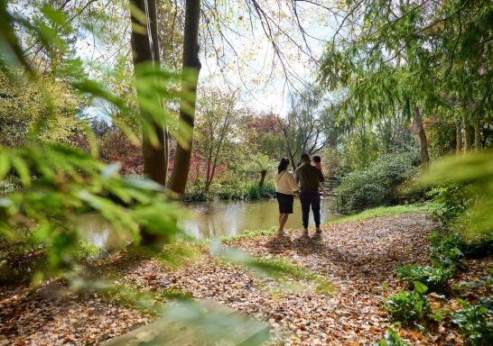A family enjoying the fine garden of significance, Red Cow Farm - Open Garden, Sutton Forest