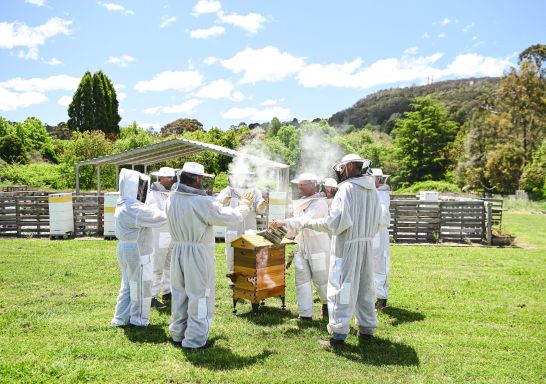 Beekeeping class, Bowral Honey Farm, Bowral