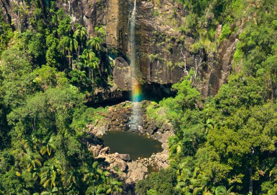 Protesters Falls, Nightcap Nationalpark