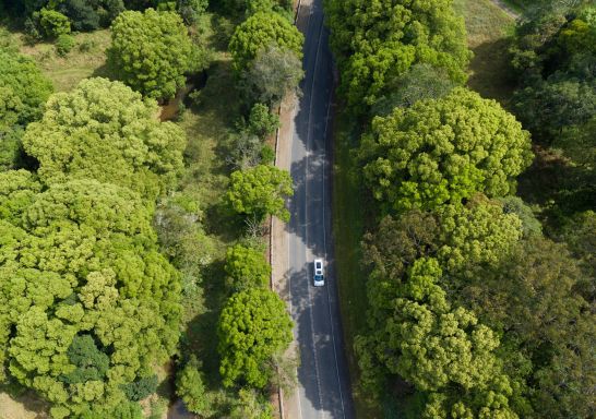 Aerial view, Tweed Hinterland, Tweed Heads