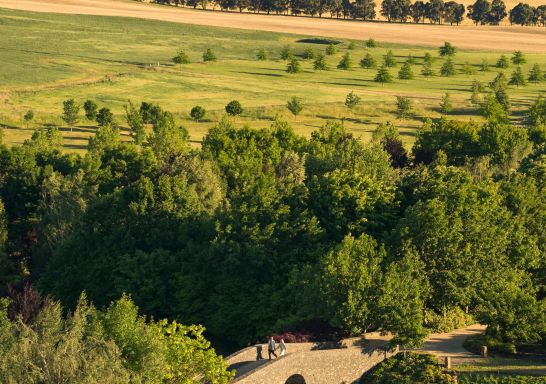 Aerial overview of the garden, Mayfield Garden, Oberon