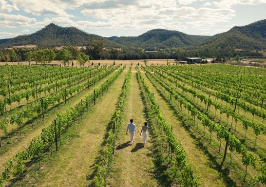 Aerial view of couple walking through vineyards, Krinklewood Estate, Broke