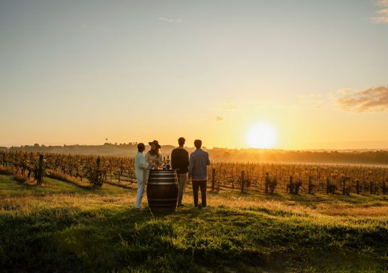 Friends drinking wine in vineyard with sunset, Hope Estate, Hunter Valley