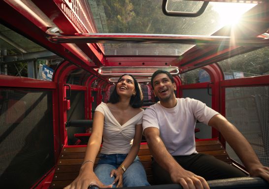 Couple in carriage, Scenic World Blue Mountains, Katoomba
